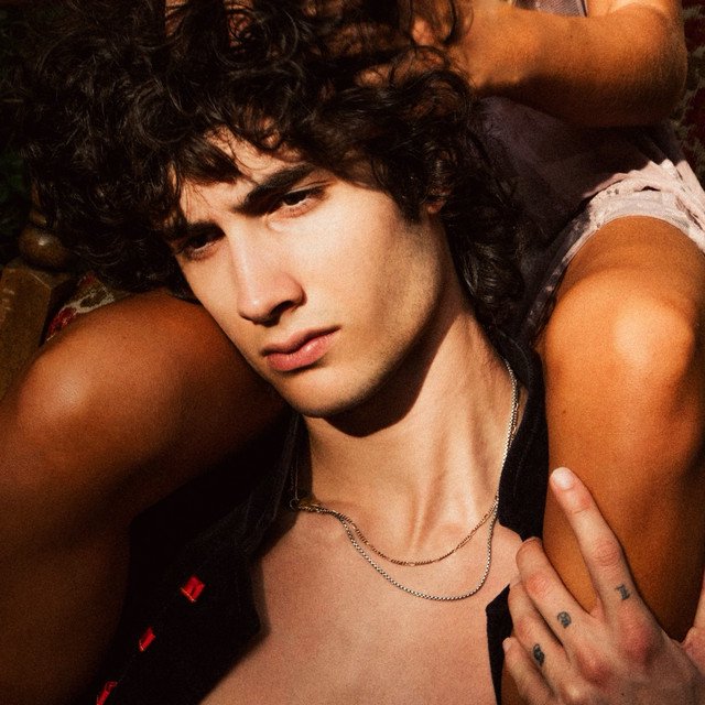 Cover of Potential