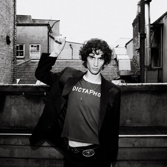 Cover of we never dated