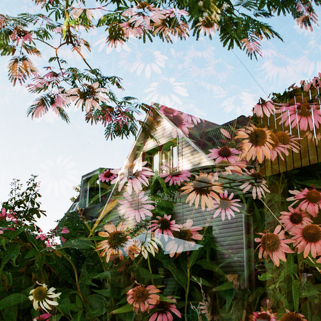 Cover of Третья жизнь