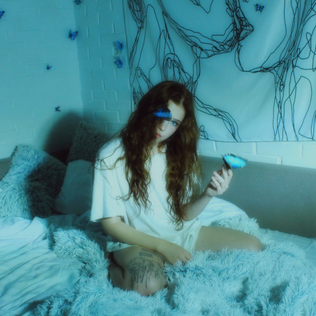 Cover of бабочки